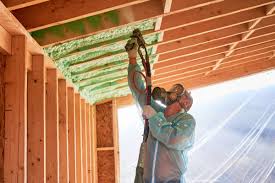 Trusted Gaston, SC Insulation Services Experts